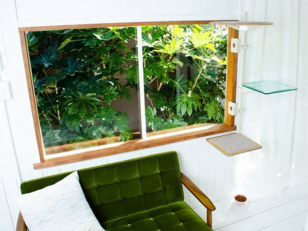 窓枠取り付け型キャットタワー「ねこゴロン」　Instagramにて第2回公式アンバサダーの募集を開始