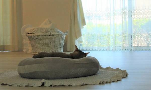 ウイルス疫学研究から生まれたアルコールフリーのライフスタイルブランド『AminoAreaStyleEdition』誕生　2022年6月24日(金)に発売