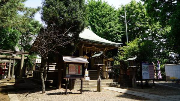 全国1万社を巡った神社案内人がセレクト新番組『あやかり神社巡りの道』イッツコムチャンネルにて　7月3日放送スタート