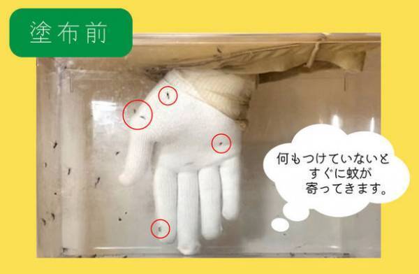 顔回りに飛んでくる虫問題を解決！アロマテラピーに基づいた虫対策と天然由来に基づいたヘアワックスを一体化