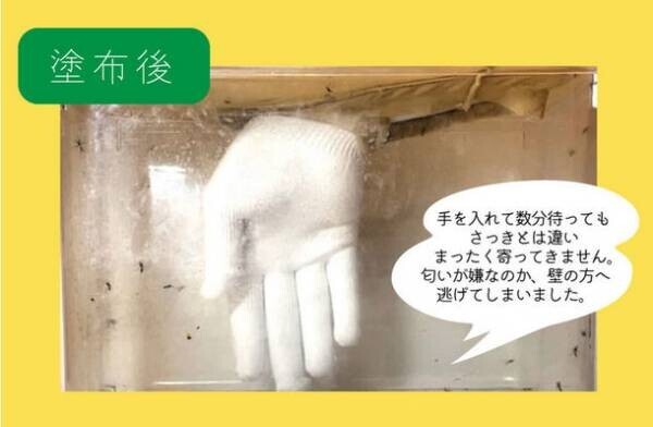 顔回りに飛んでくる虫問題を解決！アロマテラピーに基づいた虫対策と天然由来に基づいたヘアワックスを一体化