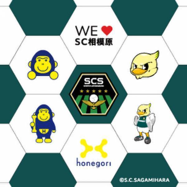 SC相模原のサポートファミリーのスポンサーである接骨院“ほねごり”が、ホームゲームで「無料施術体験」を実施