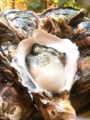 京都の観光名所、錦市場にて創業大正十年の牡蠣専門店「錦・だいやす」が7月13日リニューアルオープン