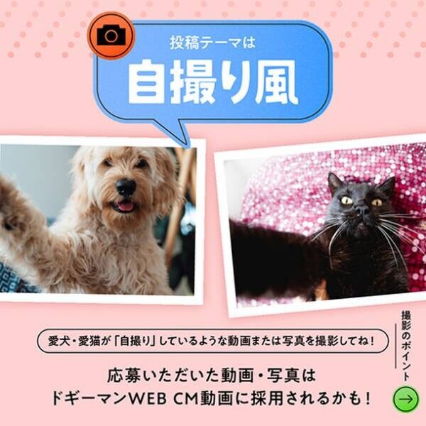 “うちのコがWEB CMに出演できちゃう？！”愛犬・愛猫の『自撮りーマングランプリ』が6月21日からスタート！！