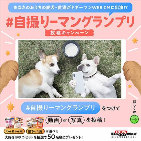“うちのコがWEB CMに出演できちゃう？！”愛犬・愛猫の『自撮りーマングランプリ』が6月21日からスタート！！