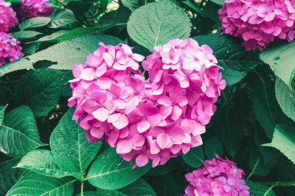 株式会社サラブレッド新事業　外国人や観光客対象の短期～長期滞在を目的とした“L・Sシステム”導入へ向け準備中　～土地の未来をデザインする～