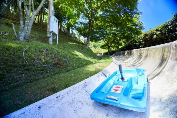 比叡山ドライブウェイの夏の風物詩「かぶと虫の家」オープン