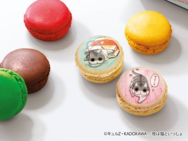 猫の“キュルガ”が話題の「夜は猫といっしょ」とフランス洋菓子ブランド「ダロワイヨ」がコラボ！オリジナルイラストが入った期間限定商品を7/19に発売！