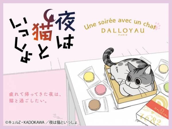 猫の“キュルガ”が話題の「夜は猫といっしょ」とフランス洋菓子ブランド「ダロワイヨ」がコラボ！オリジナルイラストが入った期間限定商品を7/19に発売！
