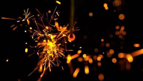 夏バラの開花にあわせた大人時間を京成バラ園が提供　京成バラ園ライトアップイベント『イルミナイトガーデン』7月9日以降の毎週土曜日及び3連休の6日間開催！