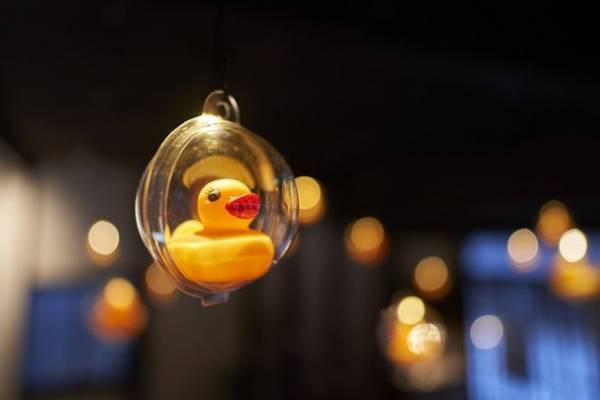 夏バラの開花にあわせた大人時間を京成バラ園が提供　京成バラ園ライトアップイベント『イルミナイトガーデン』7月9日以降の毎週土曜日及び3連休の6日間開催！