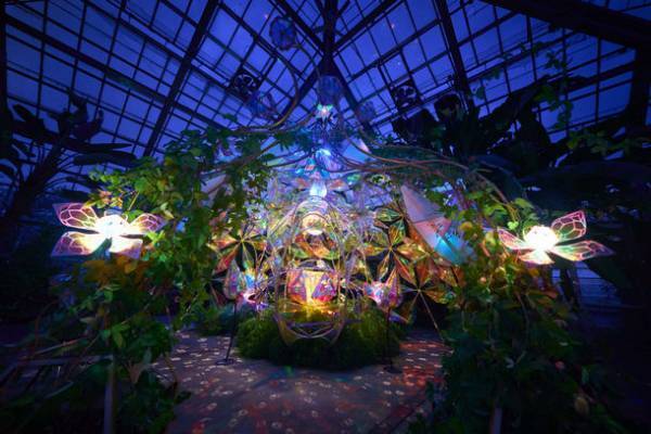 夏バラの開花にあわせた大人時間を京成バラ園が提供　京成バラ園ライトアップイベント『イルミナイトガーデン』7月9日以降の毎週土曜日及び3連休の6日間開催！