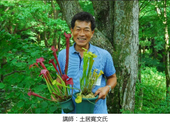 六甲高山植物園 × 伊丹市昆虫館夏休みイベント 「しょくぶつ と むし」7／16(土)～9／25(日) 開催！