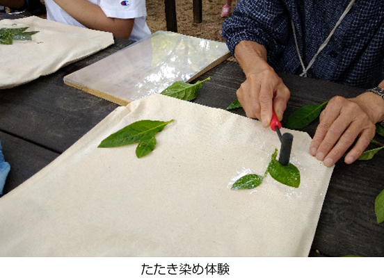 六甲高山植物園 × 伊丹市昆虫館夏休みイベント 「しょくぶつ と むし」7／16(土)～9／25(日) 開催！