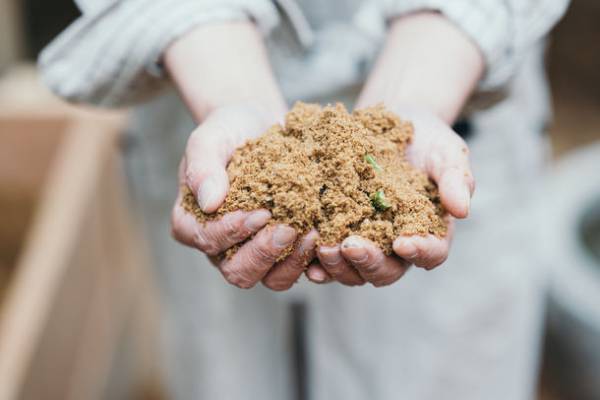 セトレならまちの中庭に小さな地球が誕生！循環型オーガニックガーデン「BIO YARD」を導入