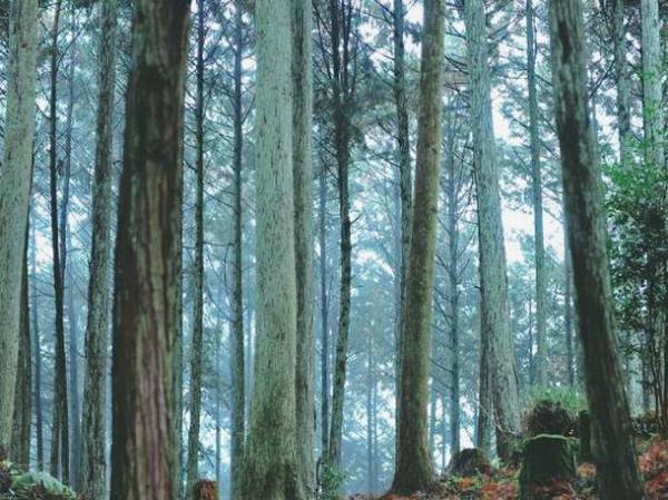 セトレならまちの中庭に小さな地球が誕生！循環型オーガニックガーデン「BIO YARD」を導入