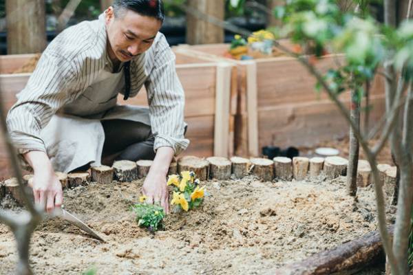 セトレならまちの中庭に小さな地球が誕生！循環型オーガニックガーデン「BIO YARD」を導入