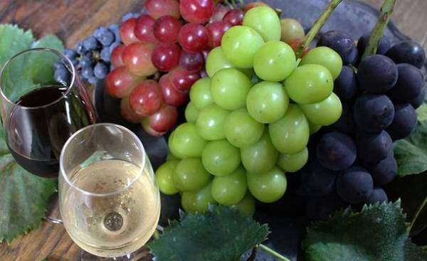 山梨県限定：赤いシャインマスカット「甲斐ベリー7」をいち早く届けたい！7月28日までクラウドファンディングで先行予約販売実施