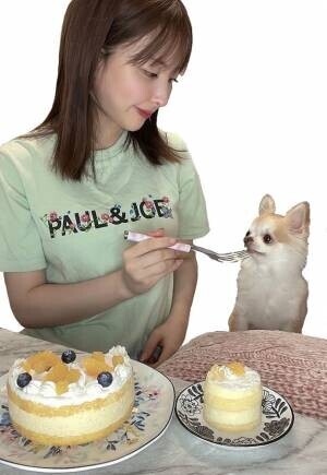 ペットと人が一緒にお祝いができるペット用写真ケーキ『With Pet!』が6月26日よりMakuakeにて先行販売開始　栄養や健康にも精通したフランス国家取得のパティシエがつくる