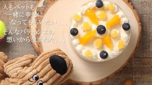 ペットと人が一緒にお祝いができるペット用写真ケーキ『With Pet!』が6月26日よりMakuakeにて先行販売開始　栄養や健康にも精通したフランス国家取得のパティシエがつくる