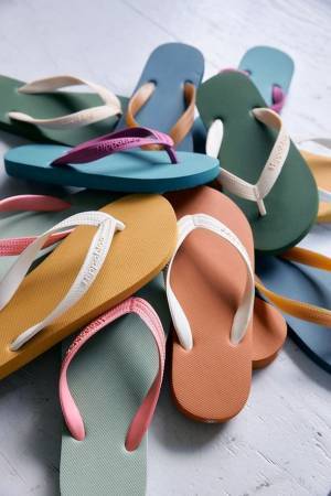 SDGsをテーマとした駅ナカ売店「Hanako Stand Todoroki」本日6月28日に等々力駅のホームにオープン