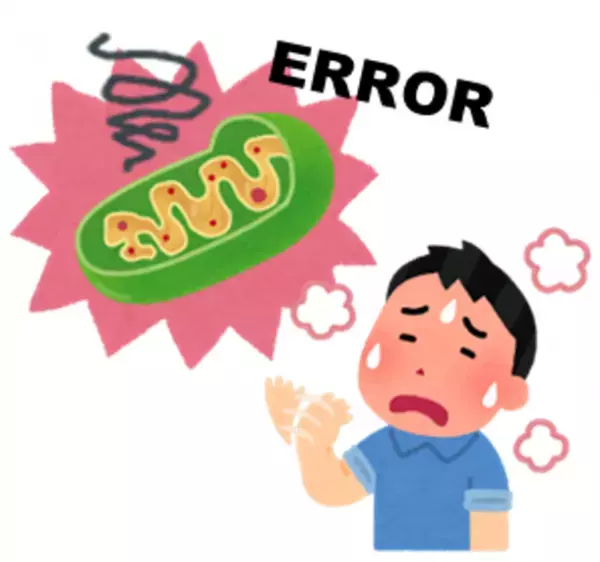 つらい夏のだるさ・疲れを体の細胞レベルからケア！最強の夏バテ対策「ミトパワー」をUPするレシピを公開