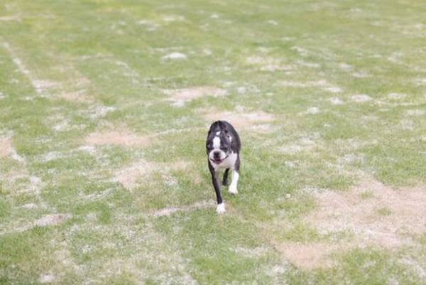 日本一の星空の下で、ミシュラン一つ星店監修の囲炉裏料理が味わえる純和風旅館　『天然温泉 阿智 星降りの宿 やま星』2022年7月17日(日)グランドオープン　