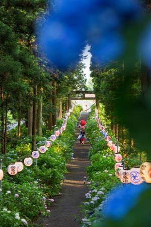 栃木・鹿沼の魅力をInstagramで発信！「～Deer Film Project～なつフォト鹿沼。-夏らしい、懐かしい、72の鹿沼-」7月2日～9月15日に開催！