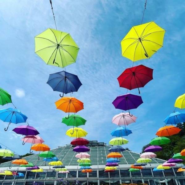 栃木・鹿沼の魅力をInstagramで発信！「～Deer Film Project～なつフォト鹿沼。-夏らしい、懐かしい、72の鹿沼-」7月2日～9月15日に開催！