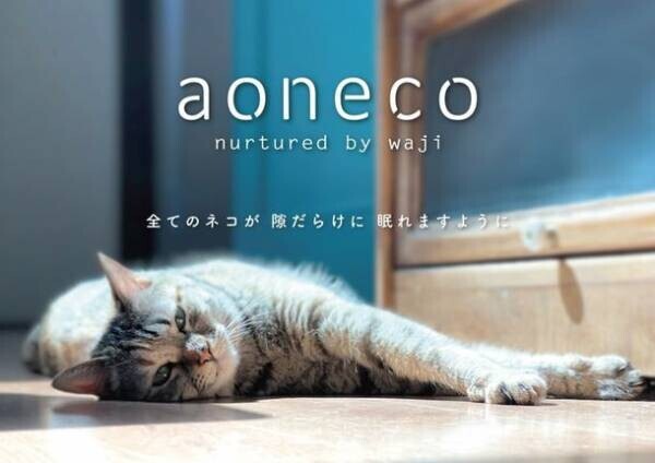 “保護ネコ支援プロジェクト”aoneco　今夏イベント2か所同時出店が決定！
