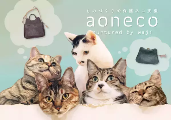 “保護ネコ支援プロジェクト”aoneco　今夏イベント2か所同時出店が決定！