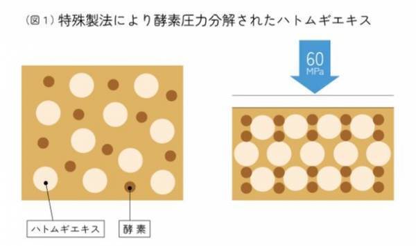 機能性表示食品の“飲む日焼け対策サプリ”『「LYCO BARRIER」(リコバリア)』を7月1日に販売開始！