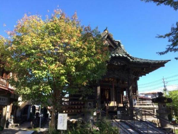 「幸」を祈る一文字写経はがきつき秩父札所十三番慈眼寺夏限定デザイン御朱印2種7月1日頒布開始