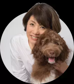 愛犬用のスイーツ＆デリを販売する「コミフ」の新商品がお得に！『お肉屋さんのごちそうデリカ』のお試しセットを期間限定で販売