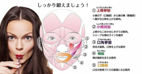 “顔の筋トレ”美人をつくるストロー「美つ華(みつは)」発売　～マスクギャップ対策、ほうれい線を『秒』トレーニング～