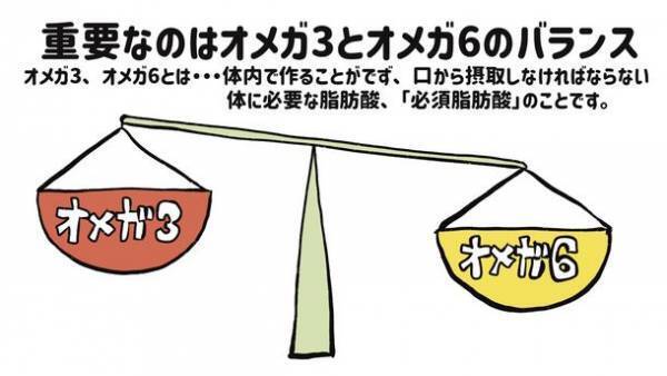 犬猫ペット愛好者に！こんなオイルを待っていた！！犬猫用健康オイル 機能性ペットフード「Balance oil 1:6」8月1日発売