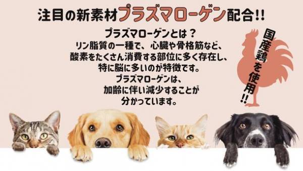犬猫ペット愛好者に！こんなオイルを待っていた！！犬猫用健康オイル 機能性ペットフード「Balance oil 1:6」8月1日発売