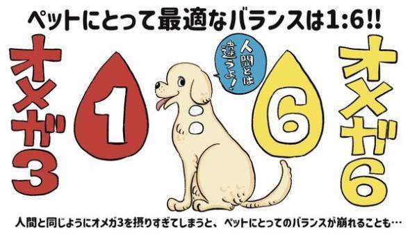 犬猫ペット愛好者に！こんなオイルを待っていた！！犬猫用健康オイル 機能性ペットフード「Balance oil 1:6」8月1日発売