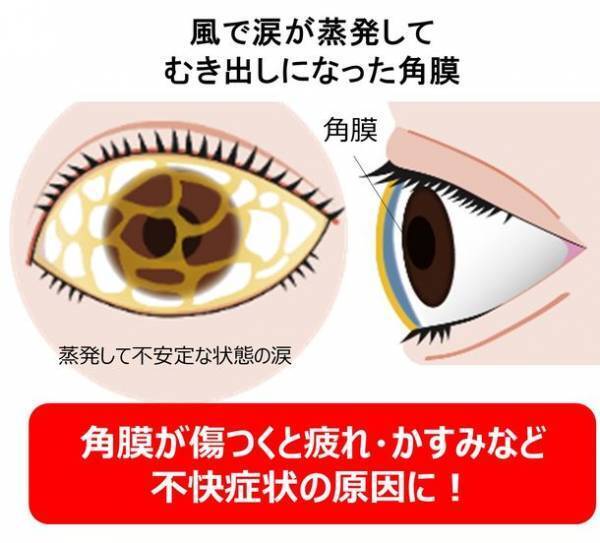 【実験】夏は「角膜の傷リスク」の高いシーンが多い！？ハンディ扇風機で短時間でも涙が蒸発、「角膜の傷リスク」が高まっていることが明らかに　夏のアイケアを眼科医有田 玲子先生がご紹介