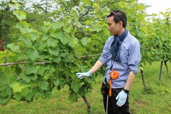 7月1日(金)より、THE THOUSAND KYOTOが京阪グループ全体のサステナビリティ牽引へ向けリブランド　“快適×サステナブル”な「千年ホテル」へ