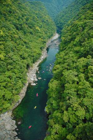 夏休みは屋久島で水遊びを満喫！「屋久島ネイチャー企画　FIELD」がリバーカヤック＆川遊びの販促強化を実施