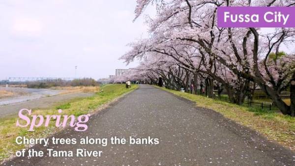 多摩広域インバウンド推進プロジェクト協議会が多摩地域の四季を紹介する9本の動画を公開しました