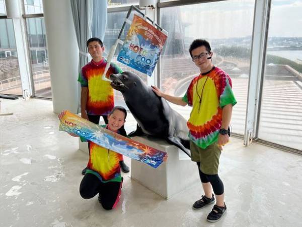 夏は茨城県のアクアワールド・大洗で生き物たちと楽しもう！“お盆限定”夕方からお得に楽しめる「アフター4チケット」を発売