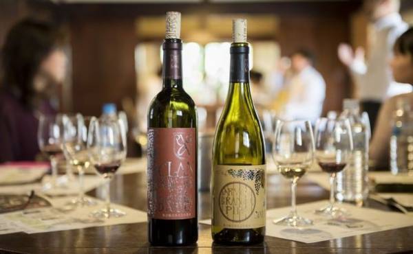 山梨ワインとグランピングのマリアージュ・ツアー7/23開催　1泊2日「勝沼醸造」×「杓子山ゲートウェイキャンプ」