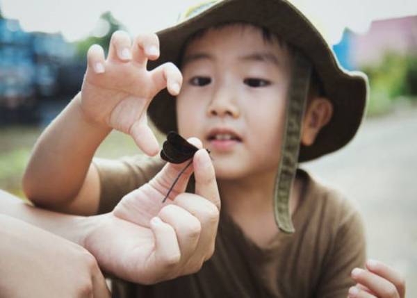 自然や生きものと共存し、「豊かな心」を育む庭　～様々な事業を紹介する「積水ハウス ストーリー」の最新情報を公開～