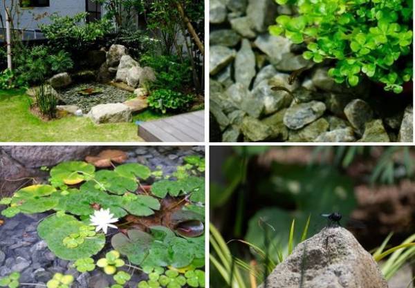 自然や生きものと共存し、「豊かな心」を育む庭　～様々な事業を紹介する「積水ハウス ストーリー」の最新情報を公開～