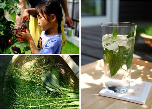 自然や生きものと共存し、「豊かな心」を育む庭　～様々な事業を紹介する「積水ハウス ストーリー」の最新情報を公開～