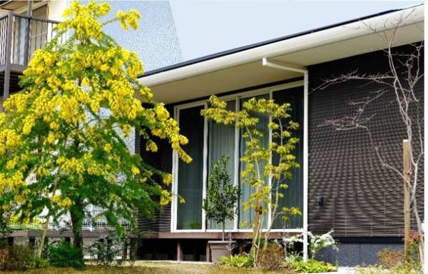 自然や生きものと共存し、「豊かな心」を育む庭　～様々な事業を紹介する「積水ハウス ストーリー」の最新情報を公開～