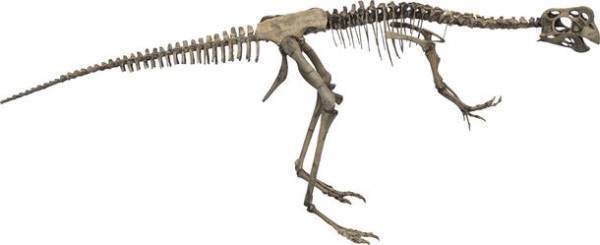 ロイ・チャップマン・アンドリュースの中央アジア探検100周年記念 特別展「化石ハンター展～ゴビ砂漠の恐竜とヒマラヤの超大型獣～」展示内容のご紹介　国立科学博物館にて2022年7月16日(土)より開催