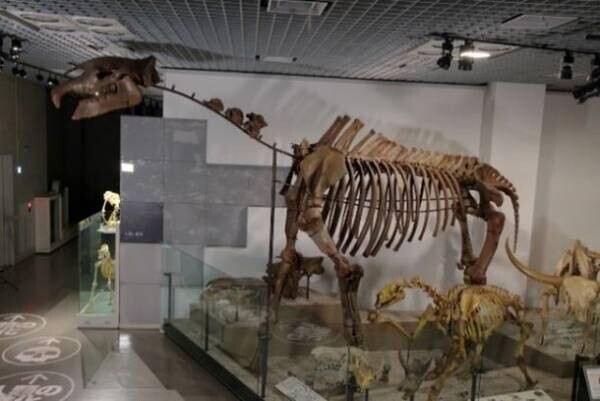 ロイ・チャップマン・アンドリュースの中央アジア探検100周年記念 特別展「化石ハンター展～ゴビ砂漠の恐竜とヒマラヤの超大型獣～」展示内容のご紹介　国立科学博物館にて2022年7月16日(土)より開催